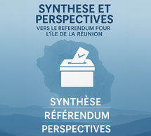 POUR LA REDACTION DÉFINTIVE DES FONDAMENTAUX POUR LA RÉUNION